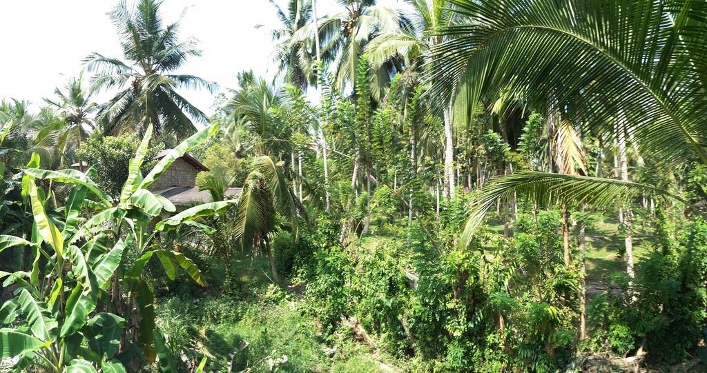 Damith Guest House Unawatuna Ngoại thất bức ảnh